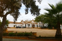 /album/dehesa-pelegrin/pic-20121109193453s9452p1-jpg/