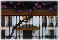 /album/dehesa-pelegrin/l-jpg/